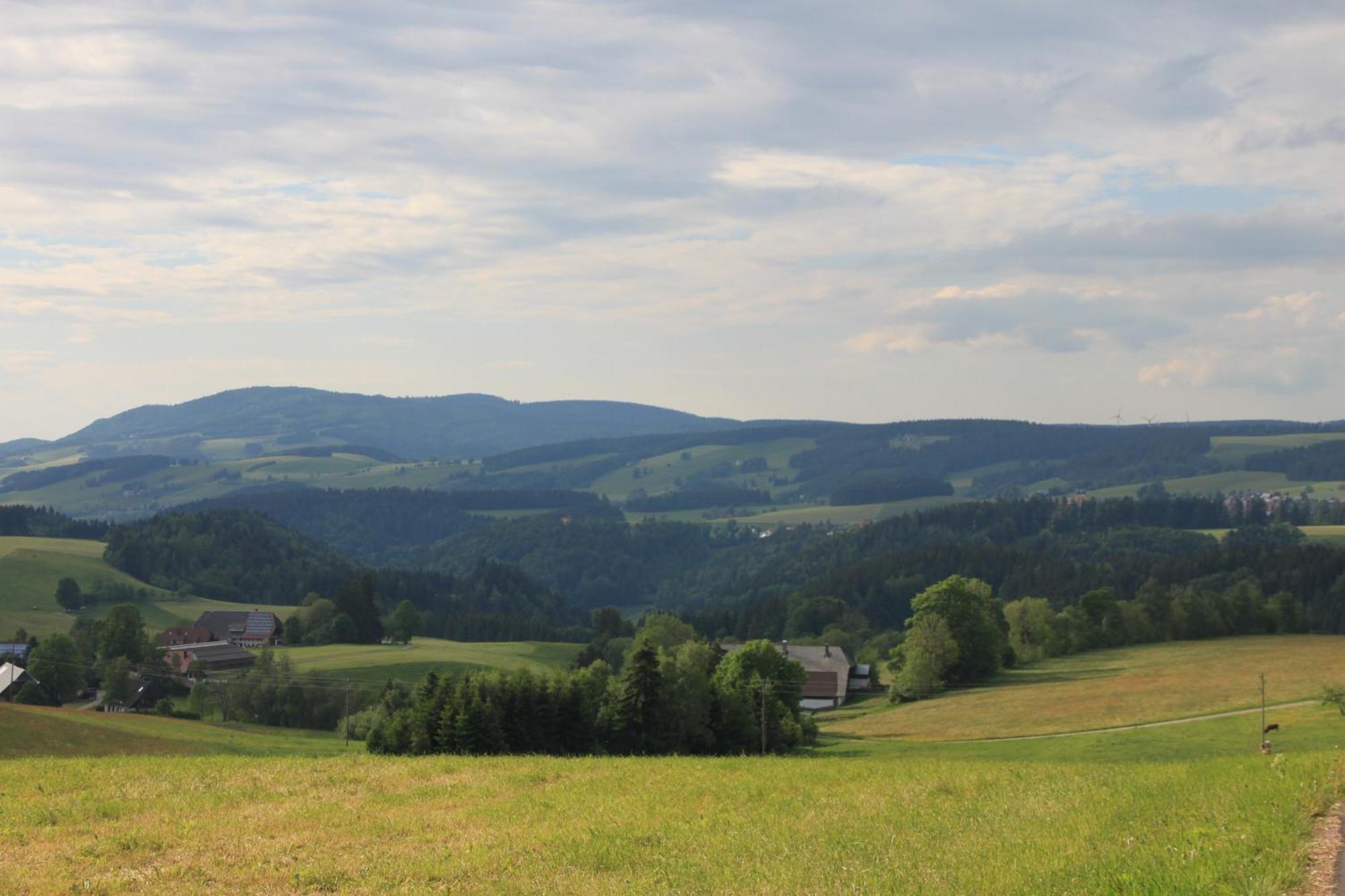 Ferienwohnungen Rebstock Schonach im Schwarzwald Экстерьер фото