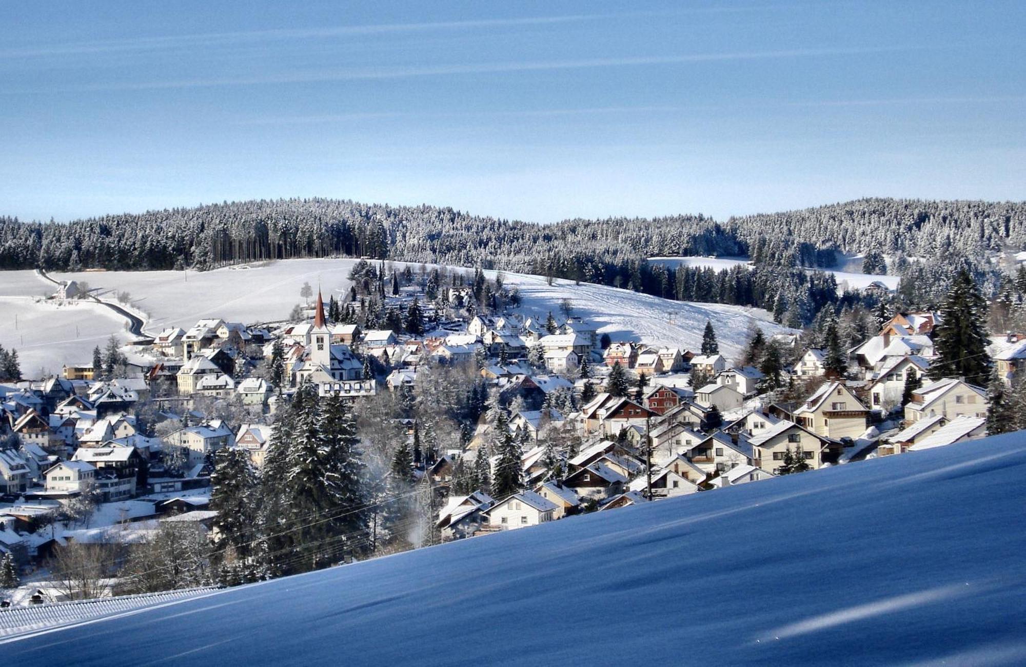 Ferienwohnungen Rebstock Schonach im Schwarzwald Экстерьер фото